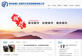 龙里城市开发投资集团有限公司